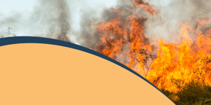 Bush Fire